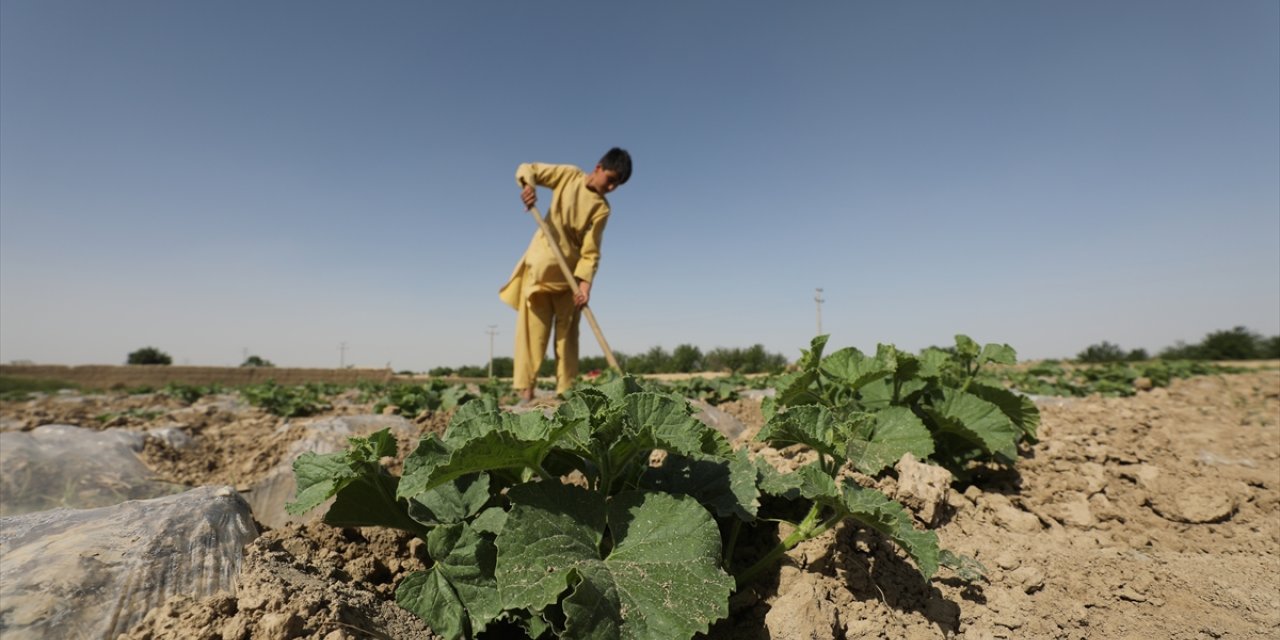 Afgan çiftçiler, Kuştepe Kanalı'nın getireceği suyu bekliyor