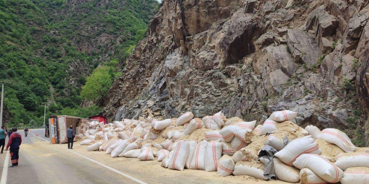 Gümüşhane'de devrilen saman yüklü tırın sürücüsü yaralandı