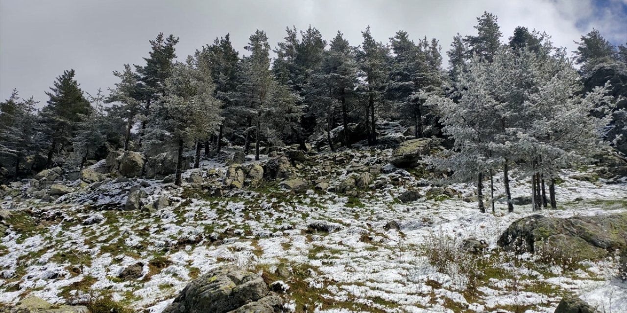 Bolu'nun yüksek kesimlerine kar yağdı