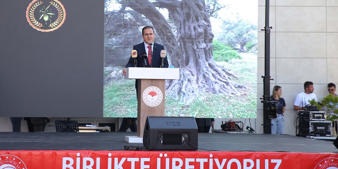 Muğla'da en iyi zeytinyağı üreticileri ödüllendirildi