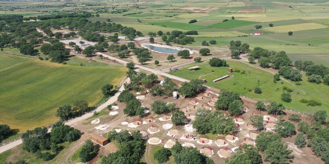 Musabeyli Korusu Edirne'nin yeni cazibe merkezi olacak