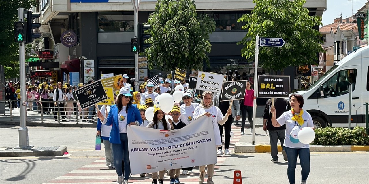 Çorum'da öğrenciler Dünya Arı Günü'nü yürüyüşle kutladı