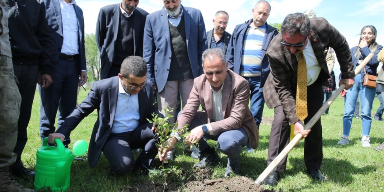 Türküden ilham alınarak Kağızman'a nar bahçesi kuruldu
