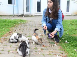 Sokak kedileri genç kızın adeta yolunu gözlüyor