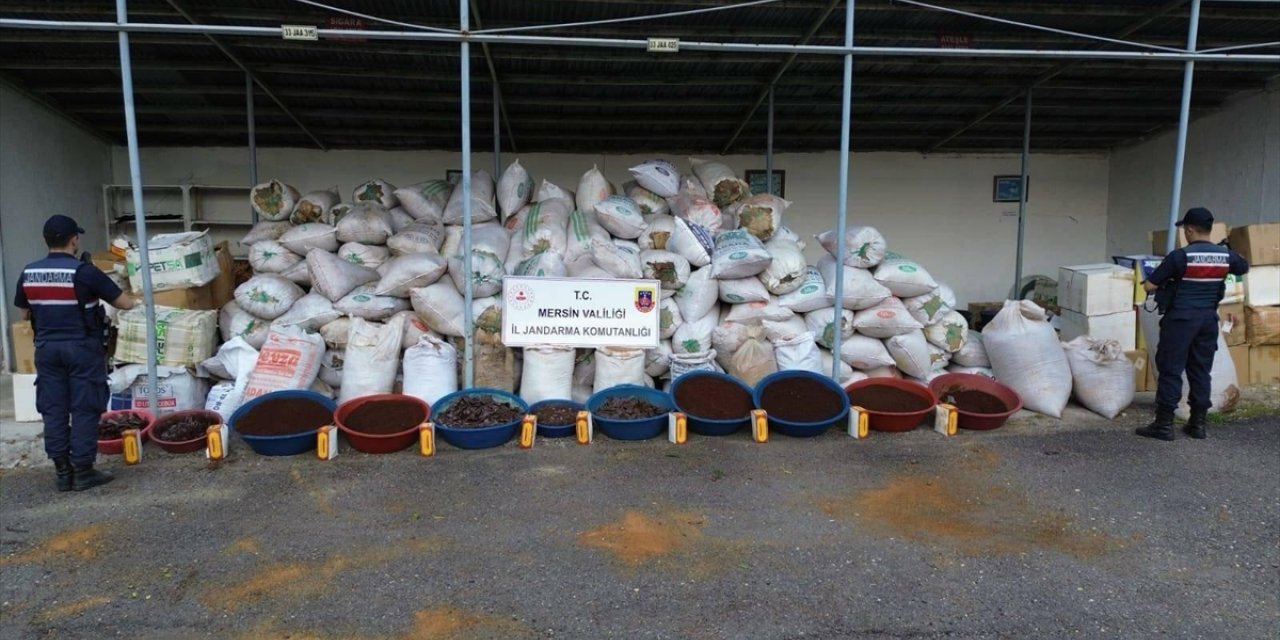 Mersin'de 10 ton kaçak tütün ele geçirildi