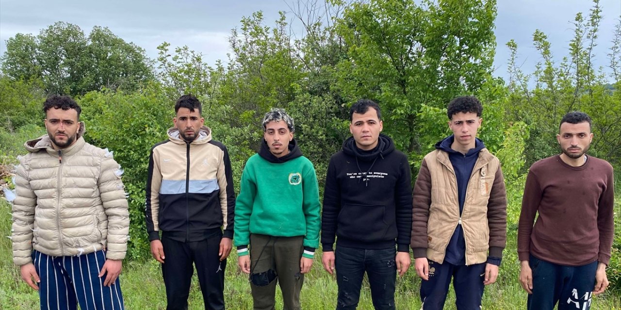 Edirne ve Kırklareli'nde 18 düzensiz göçmen yakalandı