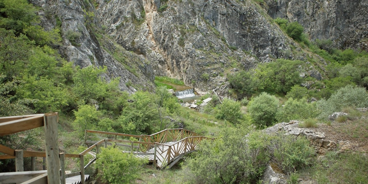 Çorum'un Budaközü Vadisi ilkbaharda ziyaretçilerini ağırlıyor