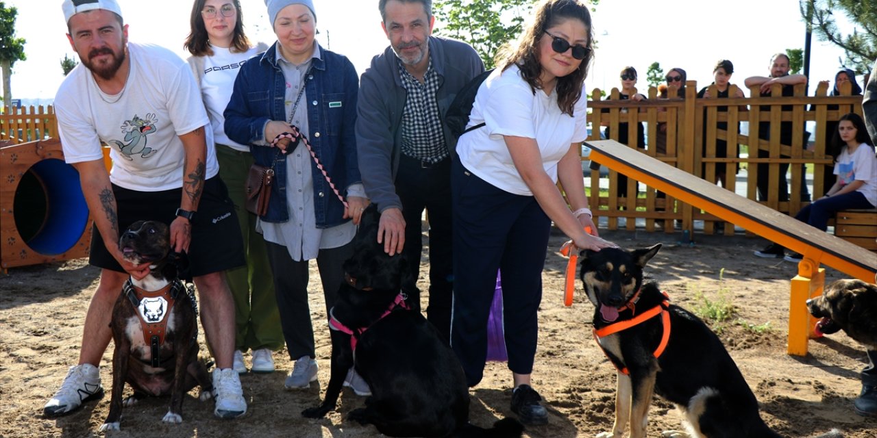 "Proteo"nun adının yaşatıldığı parkurda köpekler ücretsiz eğitiliyor