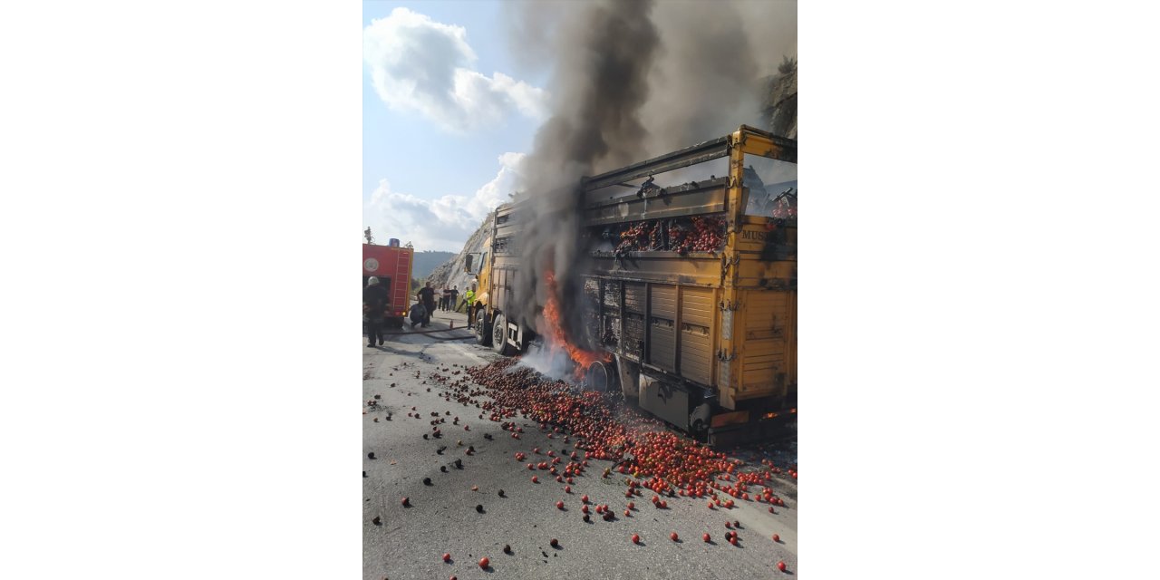 Mersin'de domates yüklü kamyonda çıkan yangın söndürüldü