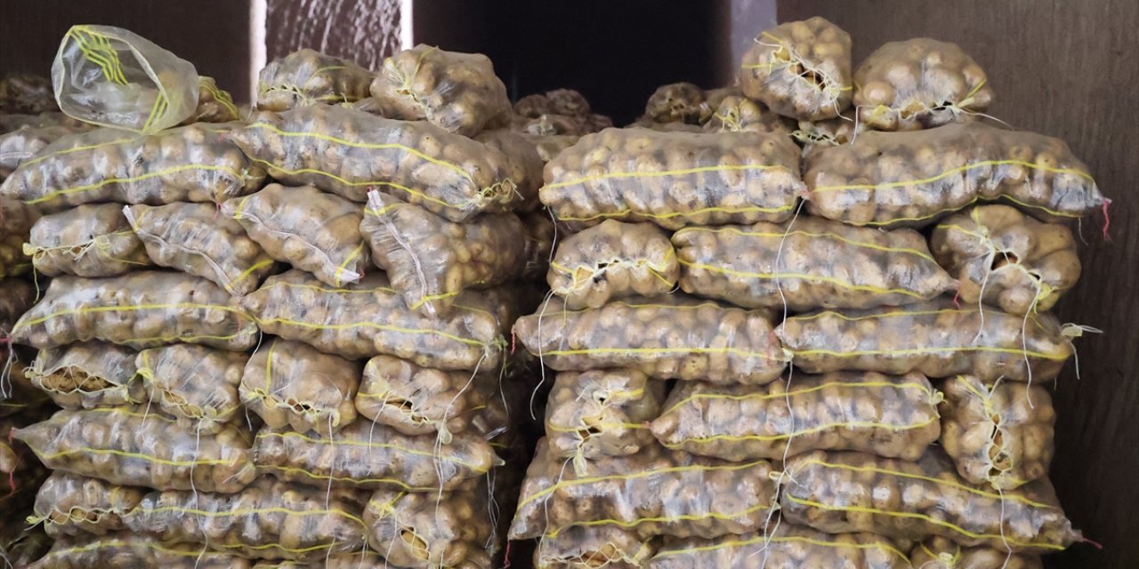 Kapadokya'daki çiftçi kuruluşlarının temsilcileri patates fiyatında artış öngörmüyor