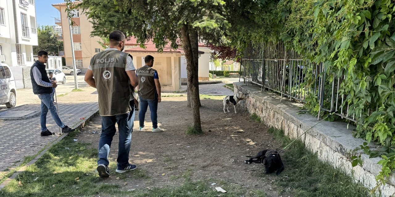 Elazığ'daki bakımevinde 8 yılda 6 bin 18 köpek kısırlaştırıldı