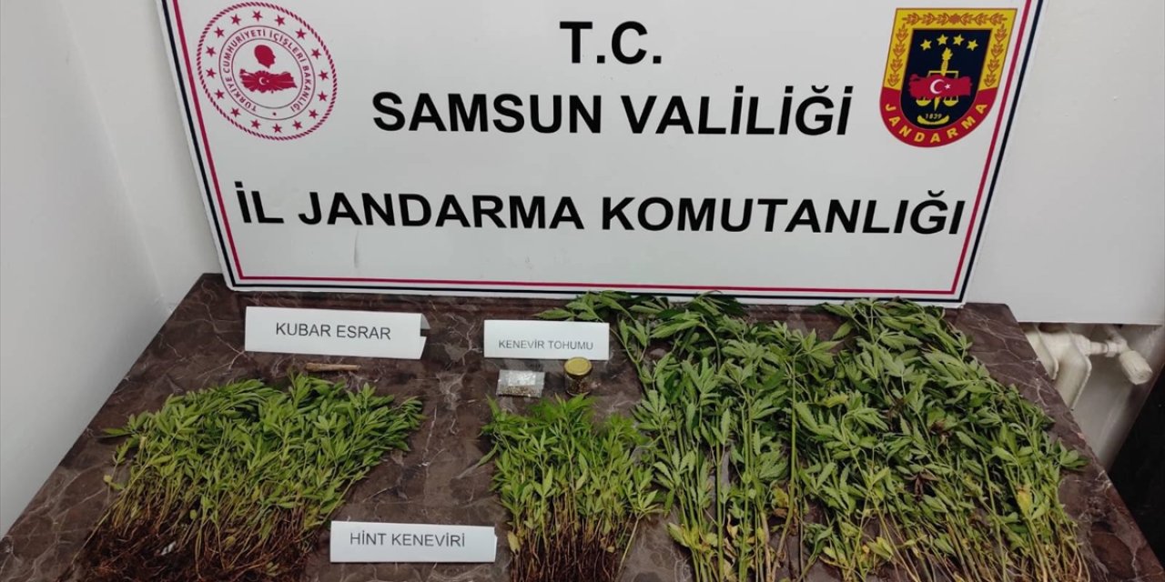 Samsun'da evinde uyuşturucu yetiştiren zanlı gözaltına alındı