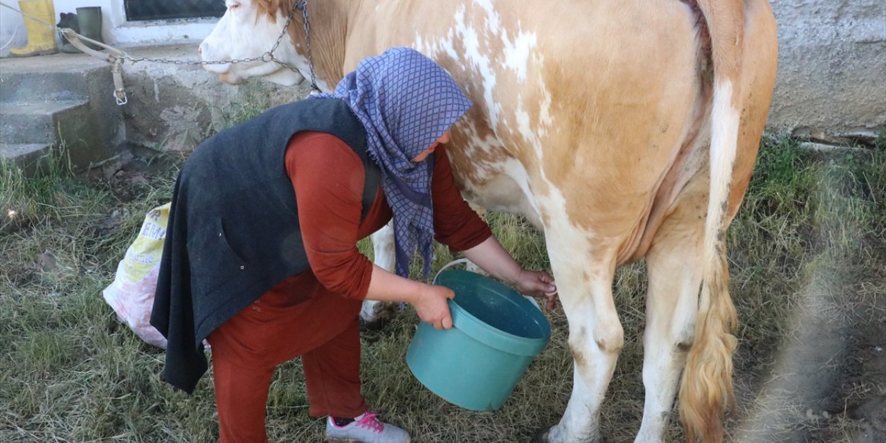 Sarıkaya Süt Üreticileri Birliği ilçede günlük 80 ton süt topluyor