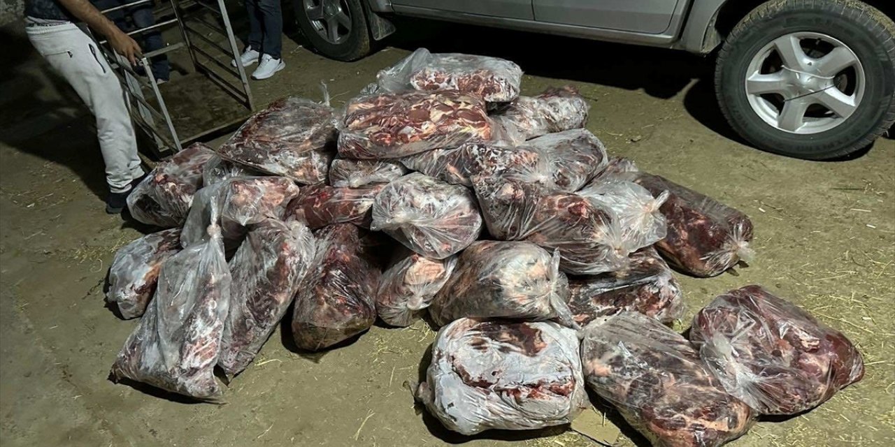 Aydın'da yaklaşık bir ton domuz eti ele geçirildi