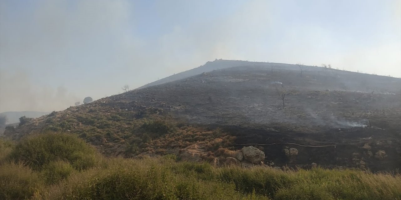 İzmir'de makilik alandaki yangın kontrol altına alındı