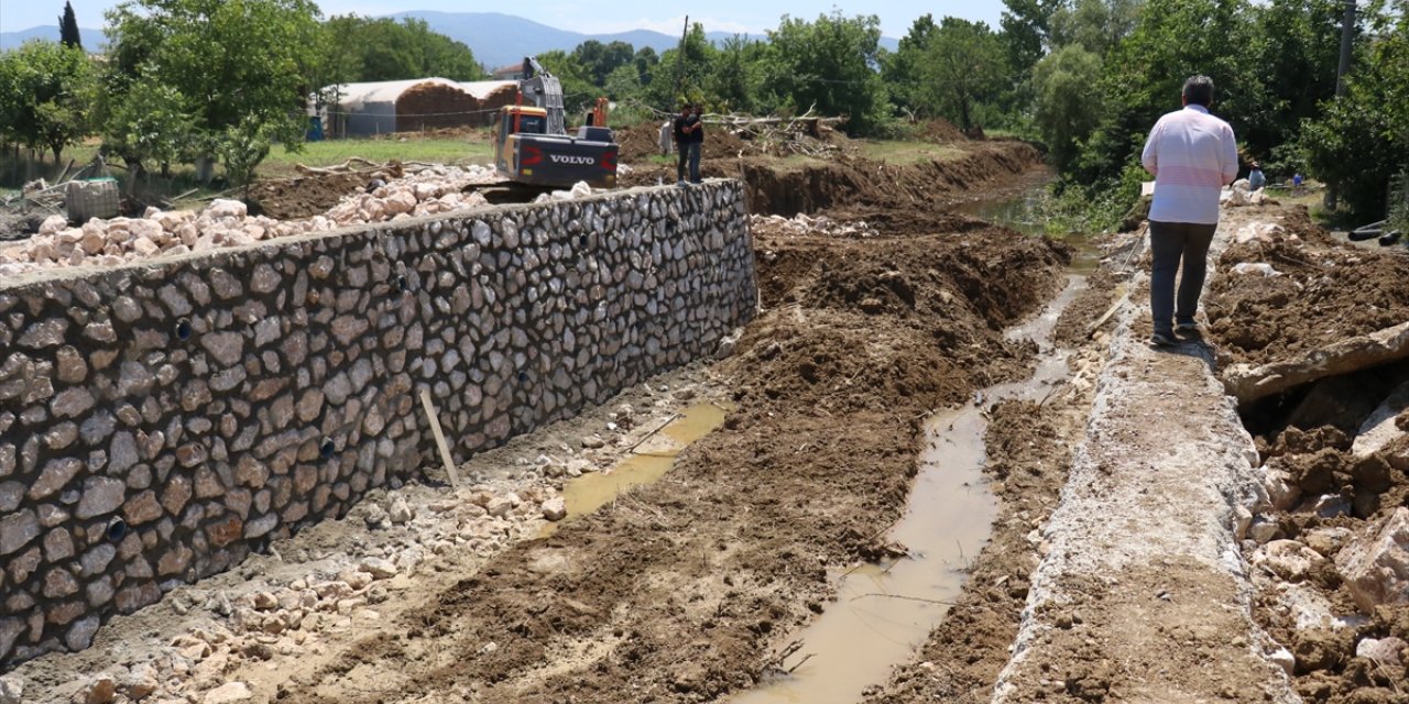 Yalova'da dere ıslahından etkilenen kaplumbağalar taşındı