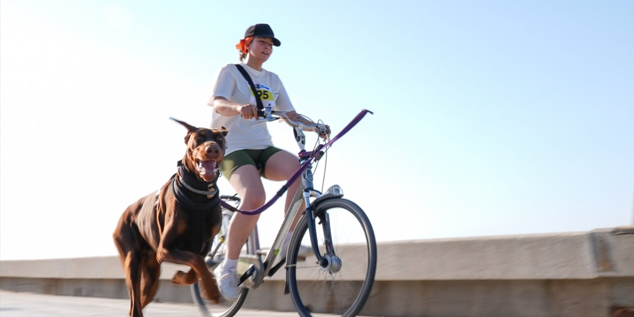 İzmir'de köpekli koşu ve bisikletli köpekli koşu düzenlendi