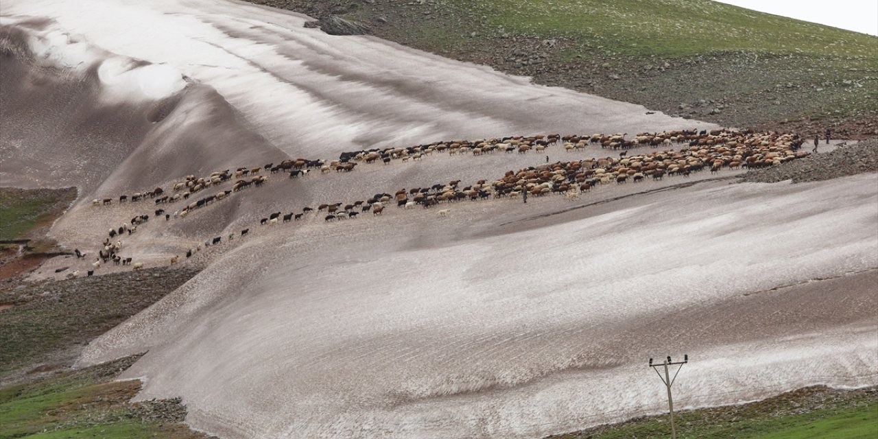 Iğdır'da göçerler karlı arazileri aşıp yaylaya gidiyor