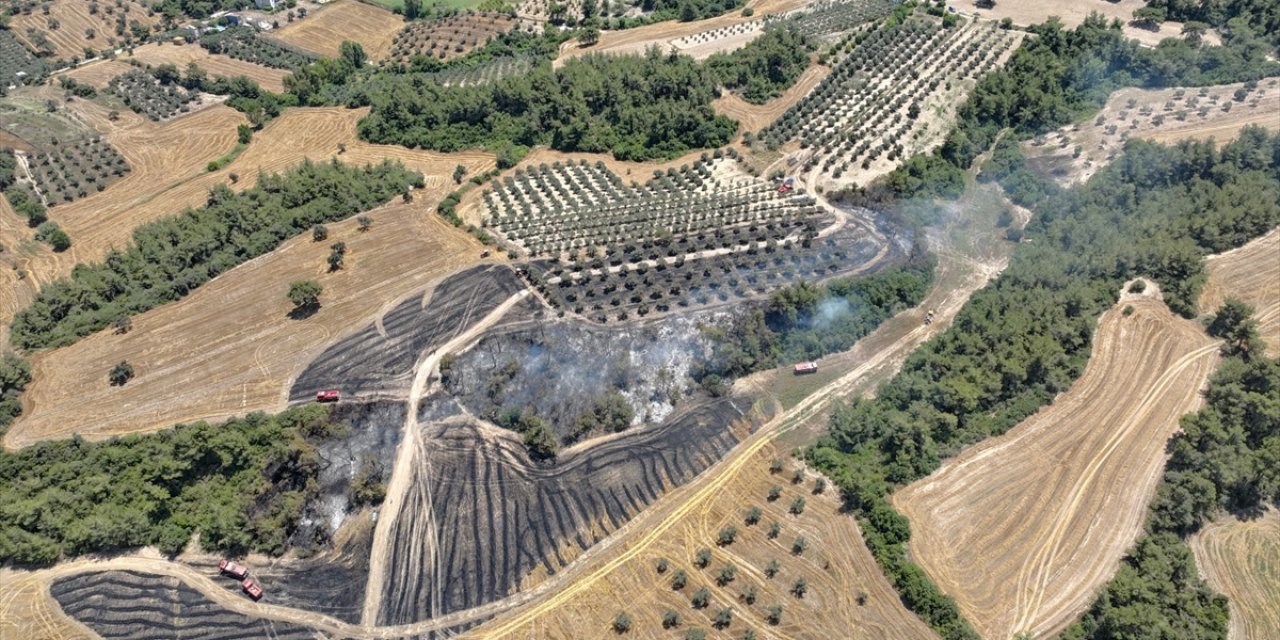 Adana'da ormana sıçrayan anız yangını kontrol altına alındı