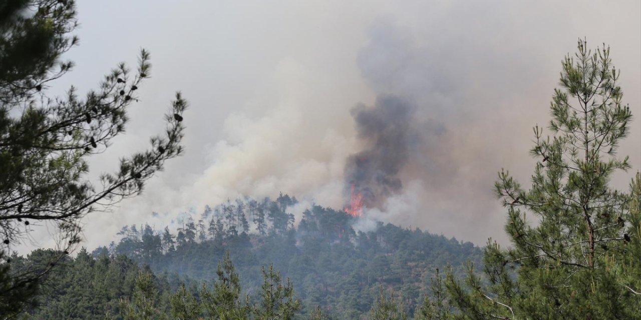 GÜNCELLEME - Bursa'da çıkan orman yangınına müdahale ediliyor