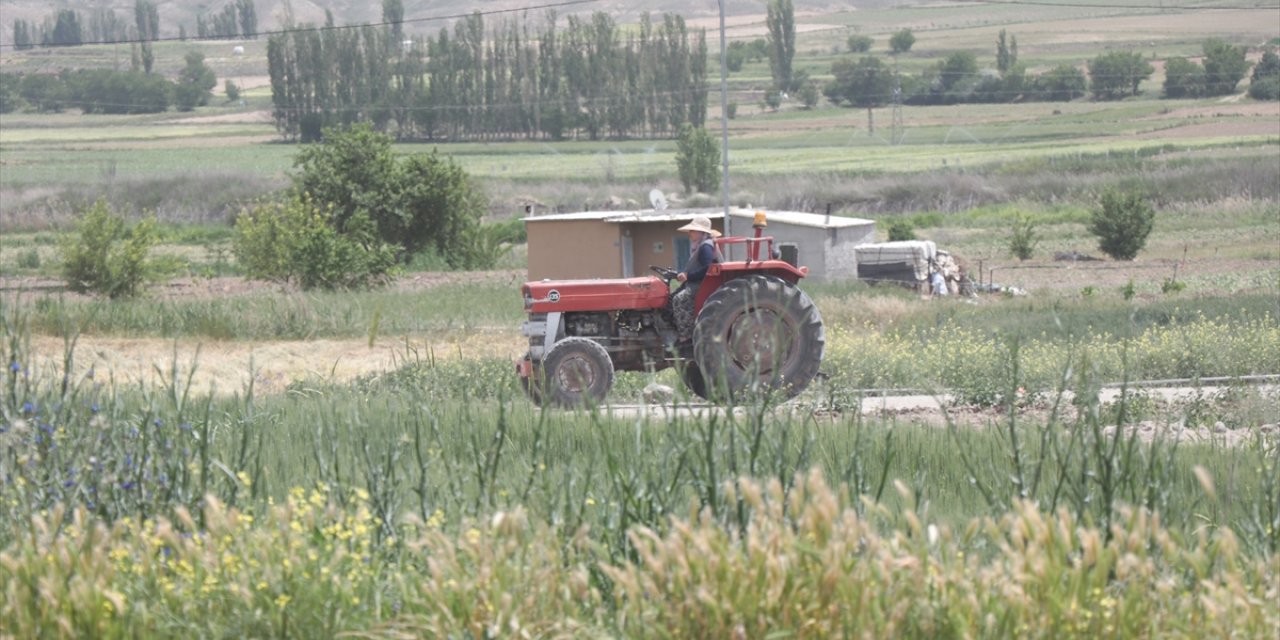 Mahallenin çiftçi kadınları traktörleriyle tarla yollarını aşındırıyor