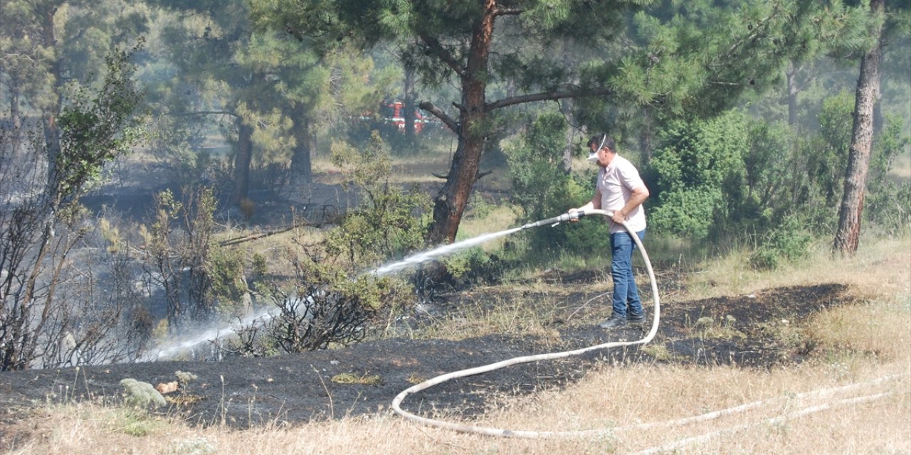 GÜNCELLEME - Çanakkale'nin Bayramiç ilçesinde tarım arazisinde çıkan yangın söndürüldü