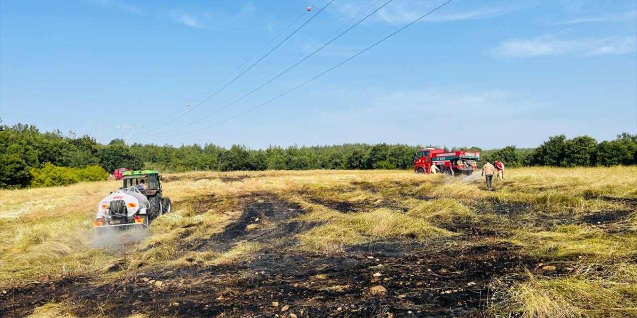 Çanakkale'de çıkan anız yangını söndürüldü