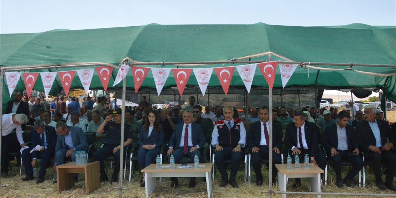 Malatya'da yılın ilk buğday hasadı yapıldı