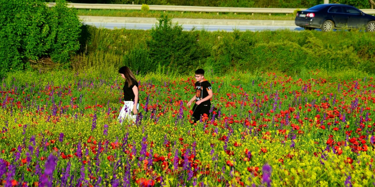 Çiçeklerle rengarenk süslenen arazi fotoğraf çektirmek isteyenlerin uğrak yeri oldu