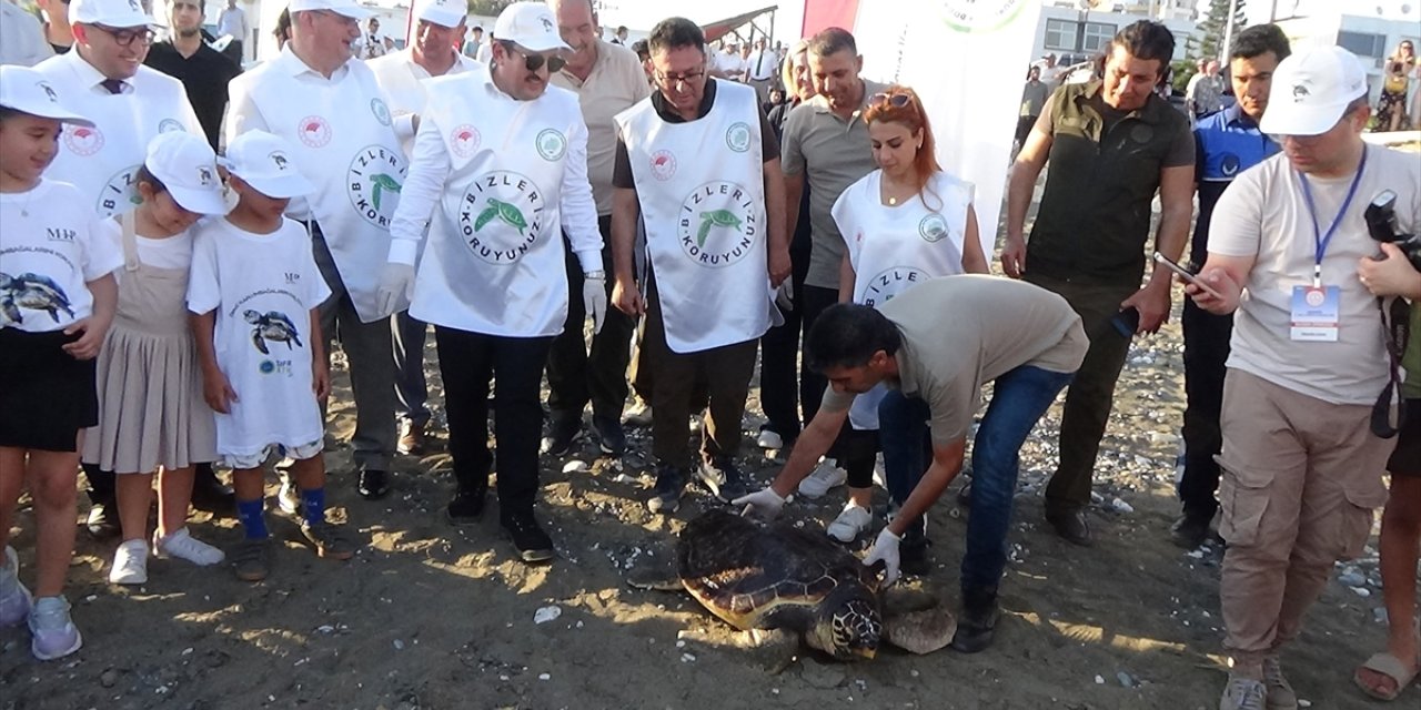 Mersin'de tedavisi tamamlanan kaplumbağa denize bırakıldı