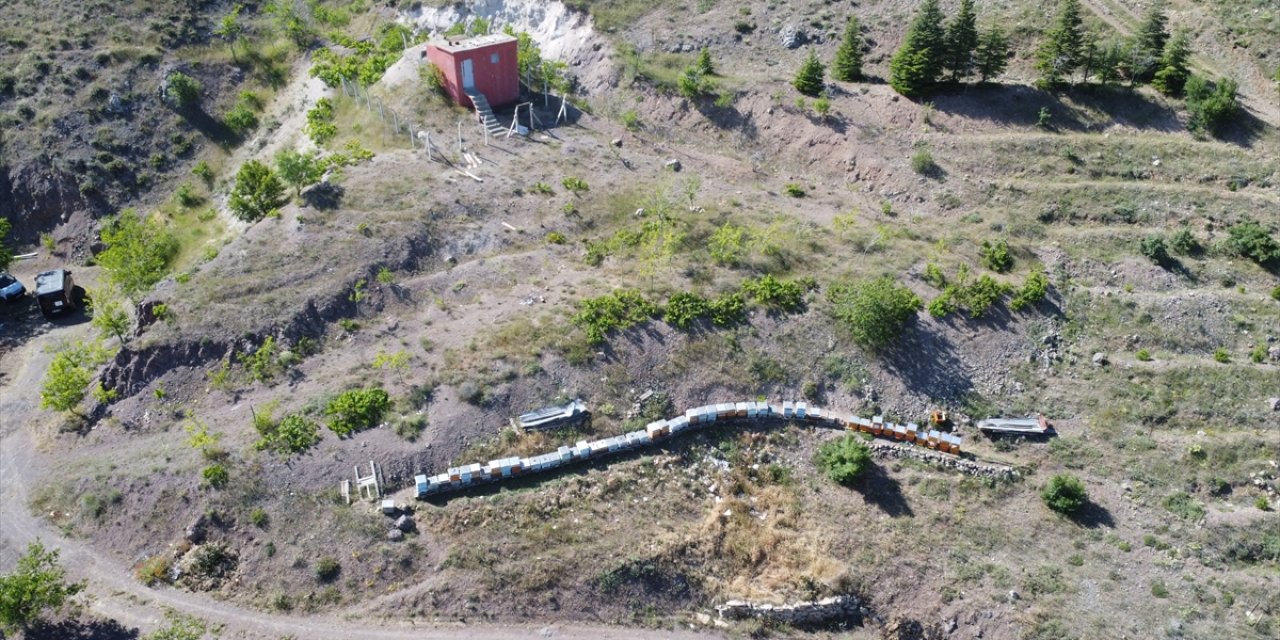 Türk Kızılayın aldığı kovanlara arıcılar bakacak, balın geliri öğrencilere burs olacak