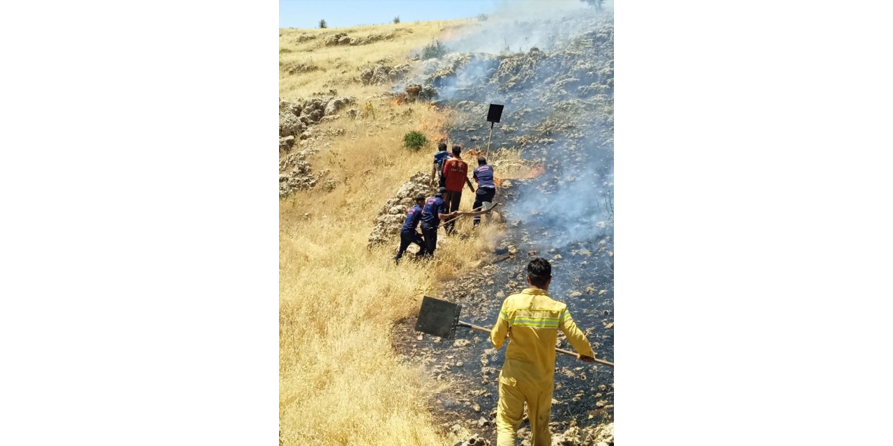 Mardin'de çıkan örtü yangını ekiplerce kontrol altına alındı