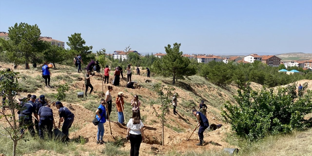 Kırşehir'de "Bozkır Yeşeriyor Bir Doğa Hareketi Projesi" kapsamında fidan dikildi