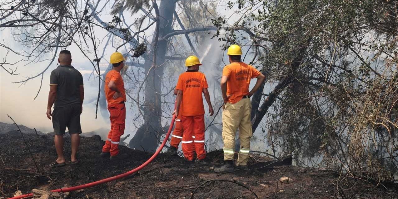 Antalya'da otluk alanda çıkan yangın ev ve seralara zarar verdi