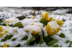 Kars'ta mayıs ayında kar yağışı