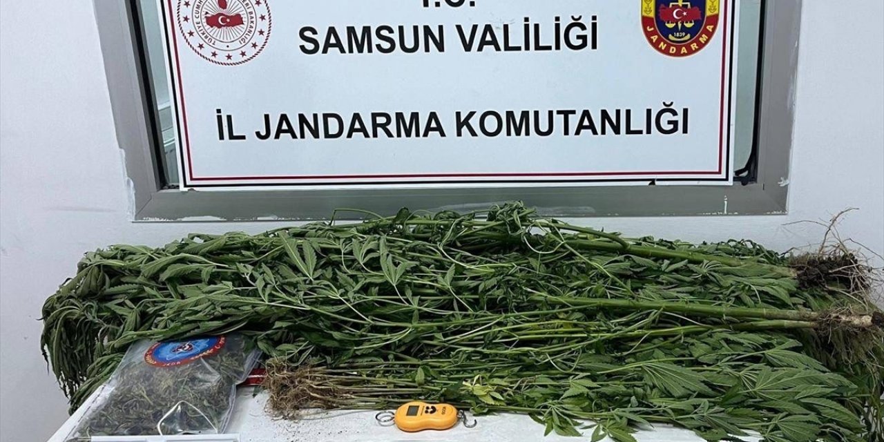 Samsun'da uyuşturucu operasyonlarında 7 kişi yakalandı