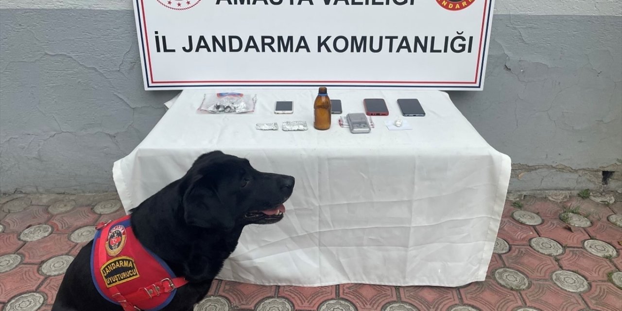 Amasya'da uyuşturucu operasyonunda 1 kişi tutuklandı