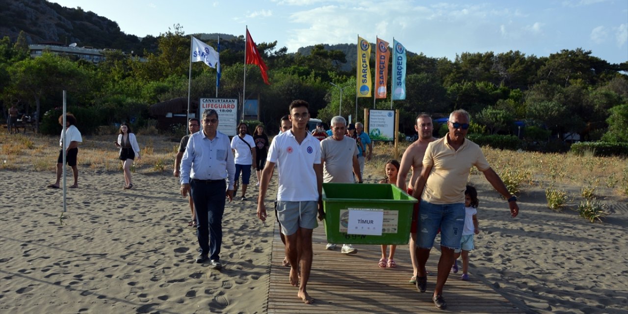 Muğla'da tedavileri tamamlanan 2 caretta caretta denizle buluştu