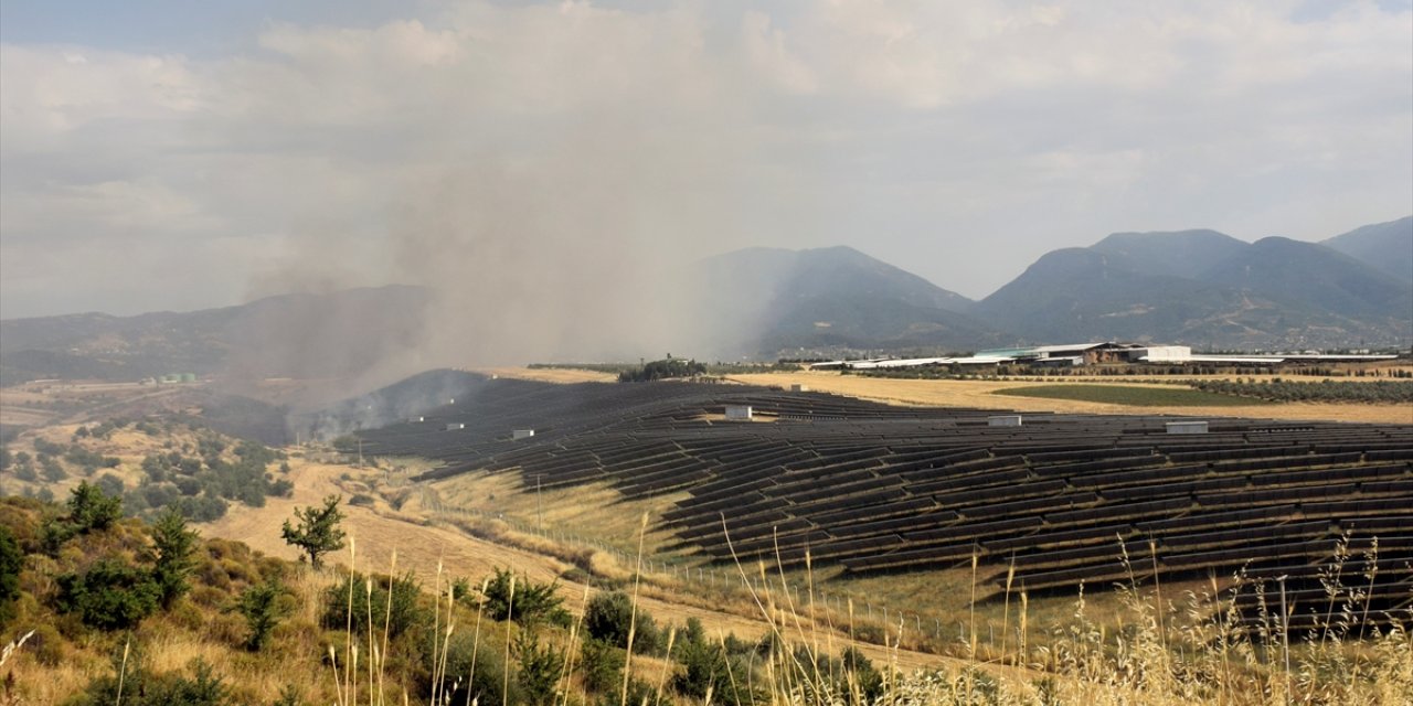 Manisa'da 50 hektarlık makilik ve otluk alan yandı, 1 şüpheli gözaltına alındı
