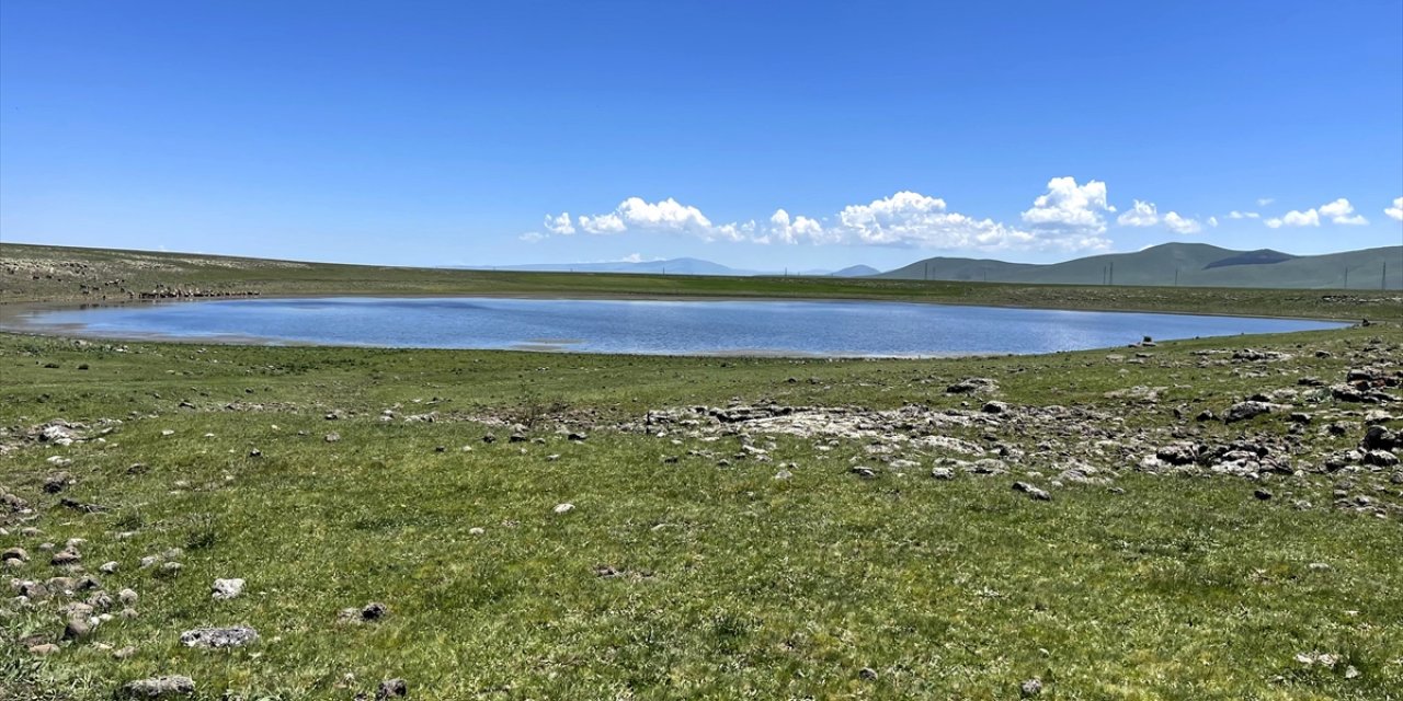 Kars'taki Asboğa Gölü yerli ve yabancı kuş gözlemcilerine ev sahipliği yapıyor