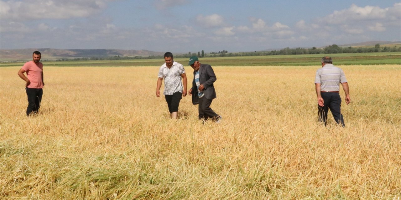 Yozgat'ın köylerinde etkili olan dolu ekili alanlara büyük zarar verdi