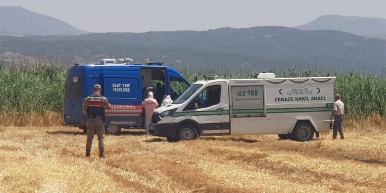 Gaziantep'te sazlık alanda erkek cesedi bulundu