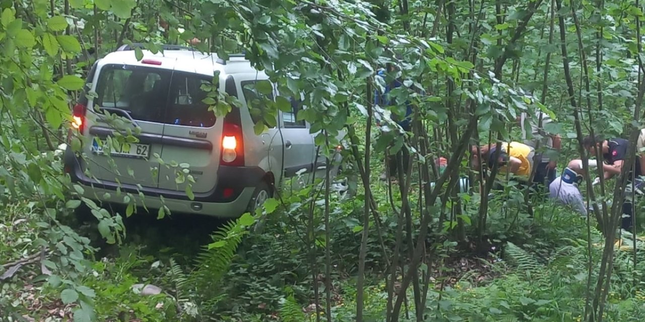 Ordu'da hafif ticari aracın ağaca çarptığı kazada 3 kişi yaralandı