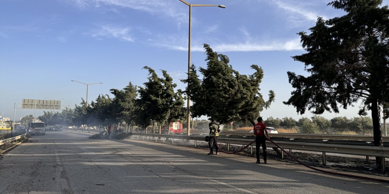 Mersin'de refüjdeki ağaçlarda çıkan yangın söndürüldü