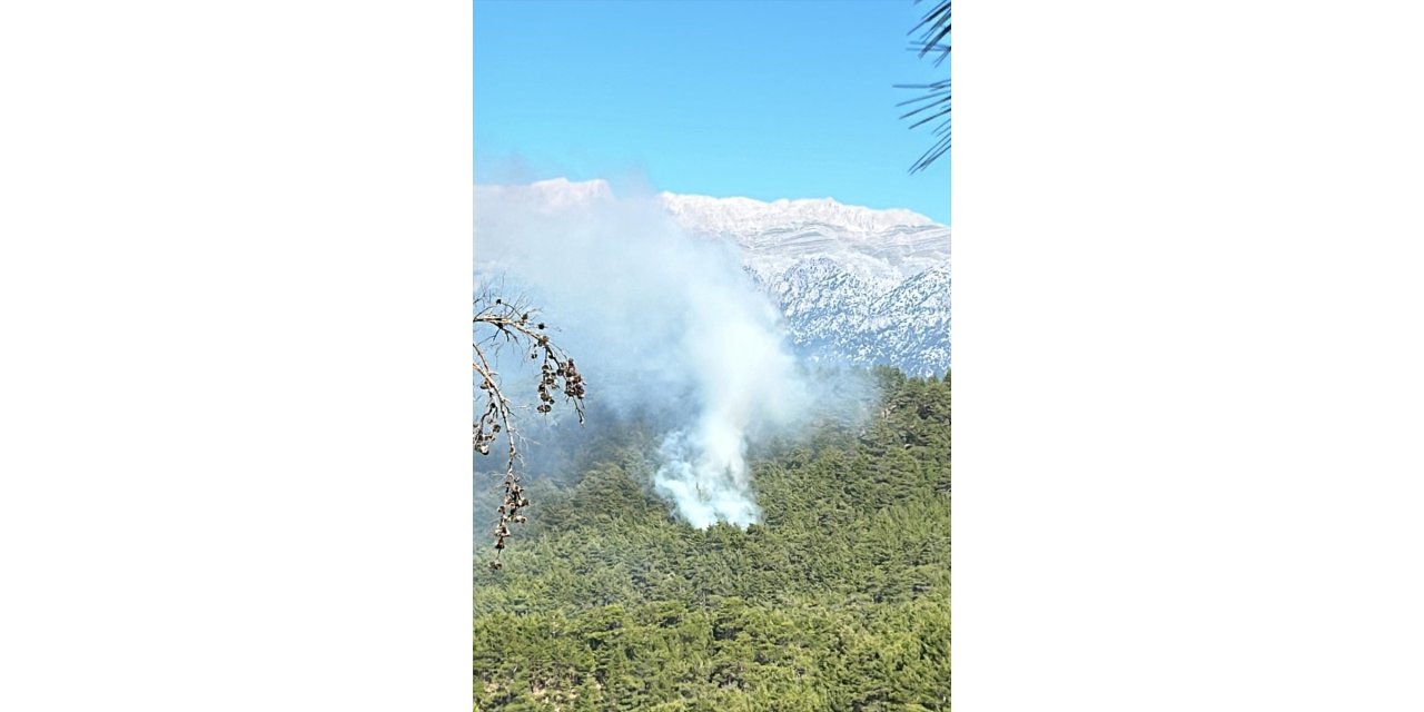 Manavgat'ta çıkan orman yangını kontrol altına alınmaya çalışılıyor