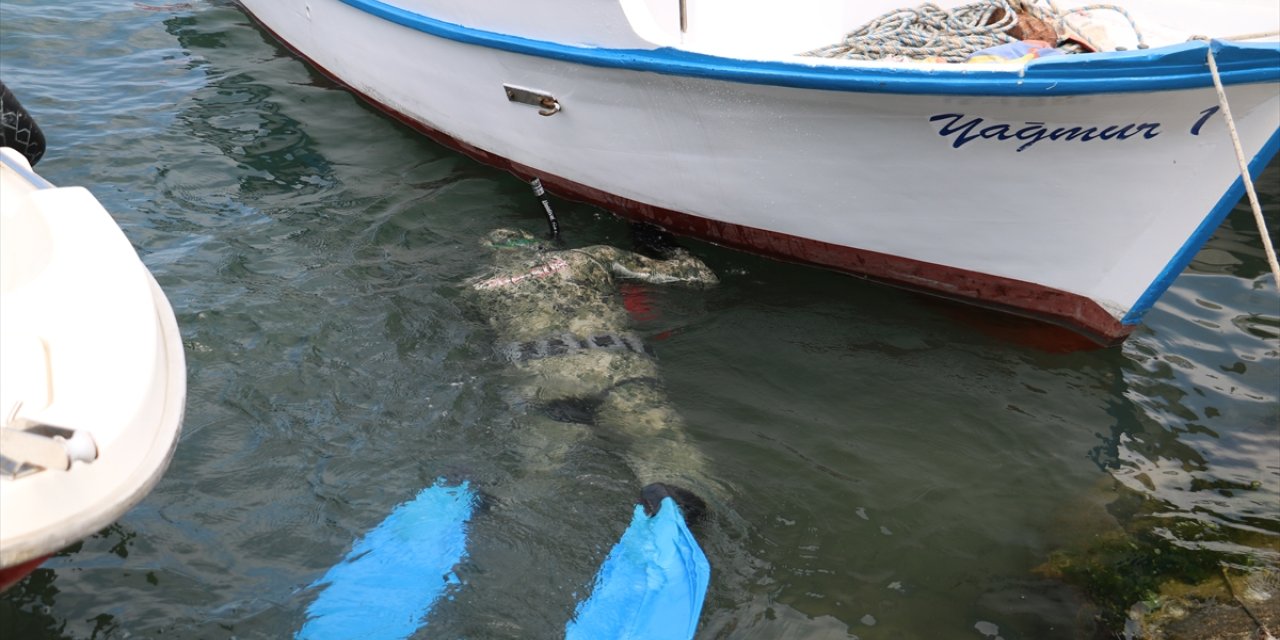 Samsun'da dalgıçlardan deniz dibi demizliği