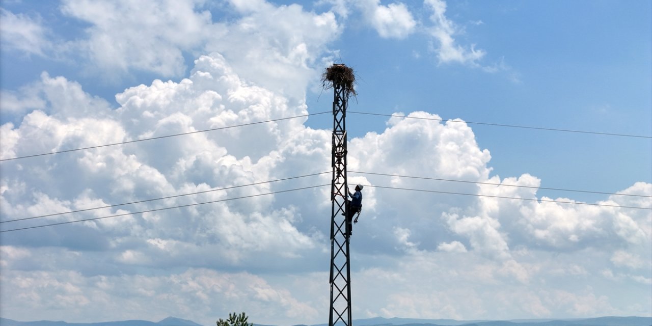 Kuşları korumak ve kesintisiz enerji için direklere izolasyon yapılıyor