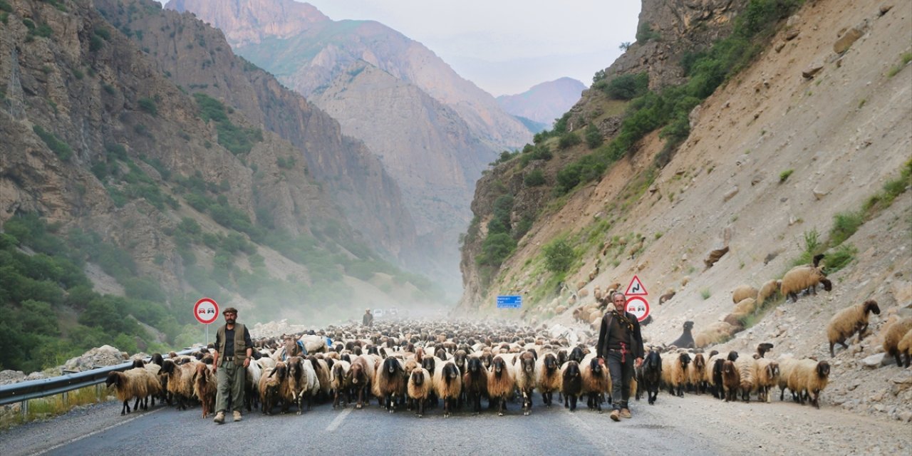 Siirtli göçerler, günler süren yolculuğun ardından Hakkari'ye ulaştı