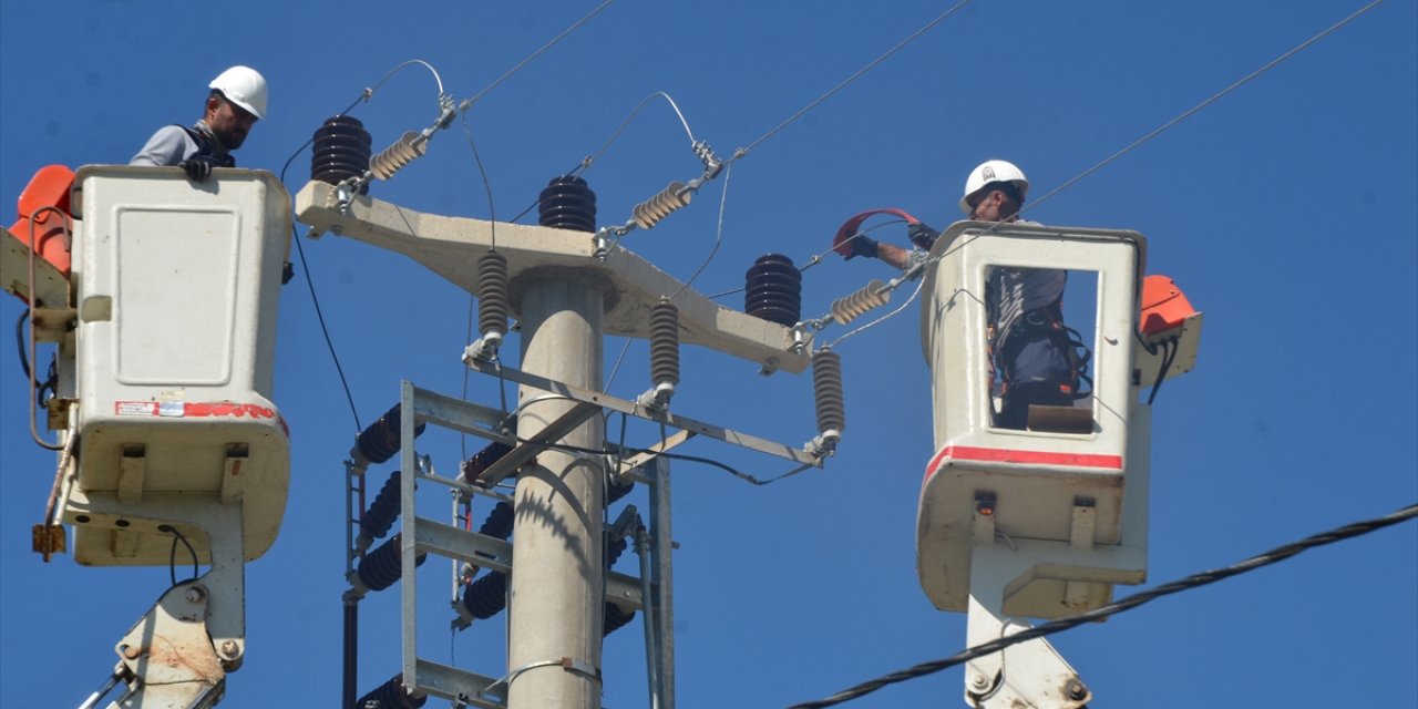 Muş'ta kuşların akıma kapılmaması için elektrik hatları daha güvenli hale getiriliyor