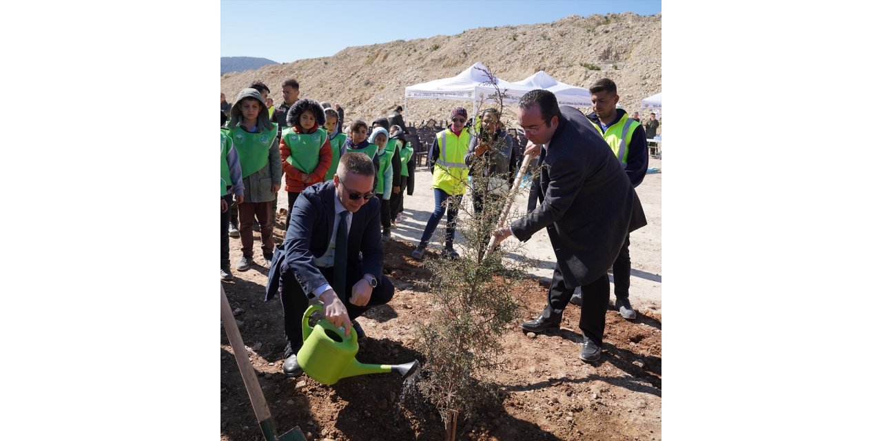 YK Enerji'nin Muğla'daki maden sahasını doğaya geri kazandırma projesinin ilk fazı tamamlandı